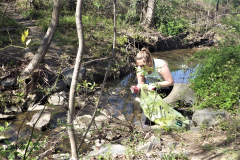 Stream clean up event 2