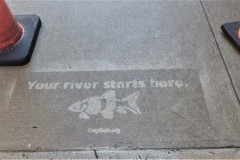 Your river starts here