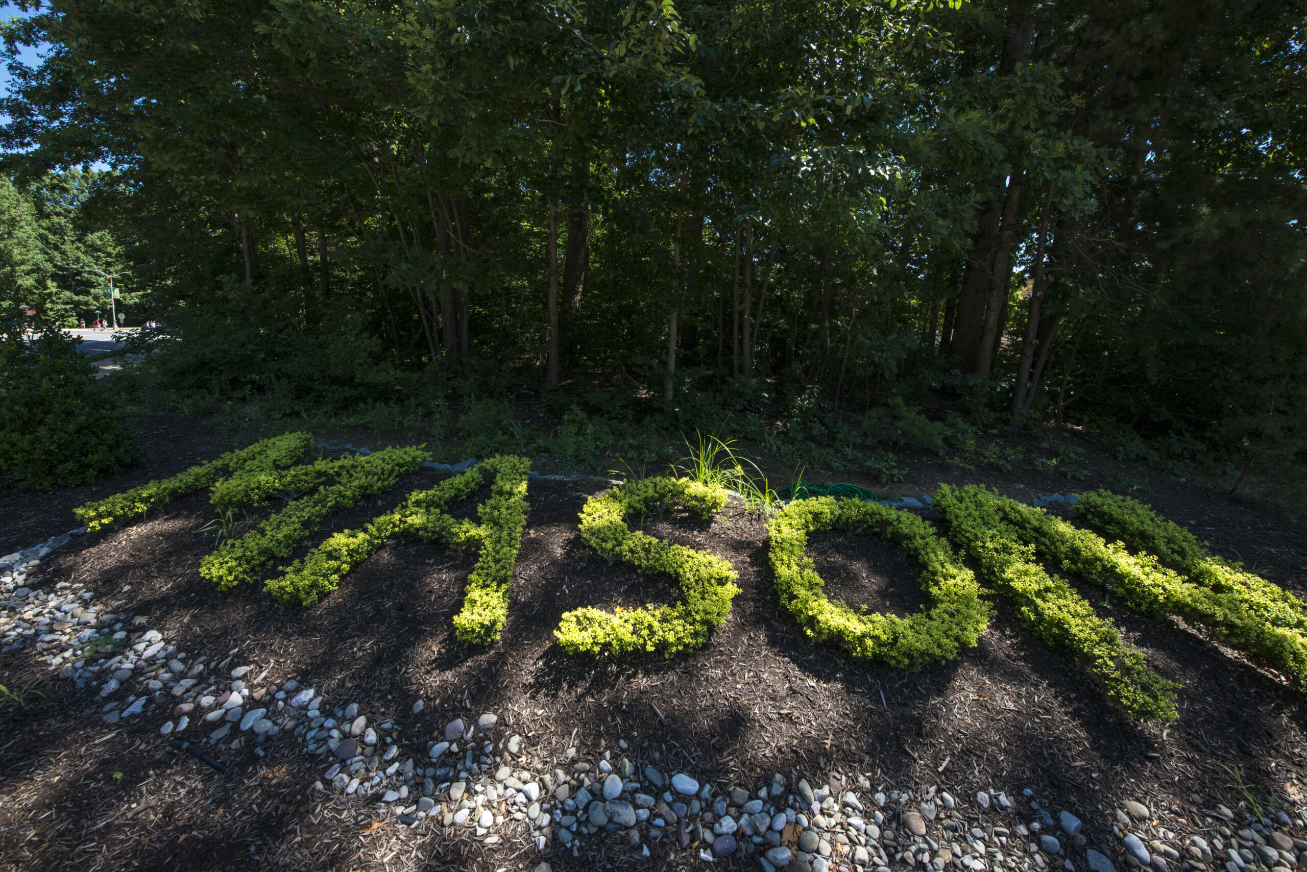 Mason Bush. Photo by Evan Cantwell/Creative Services/George Mason University