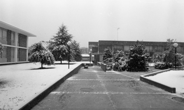 Snowy Campus, 1979
