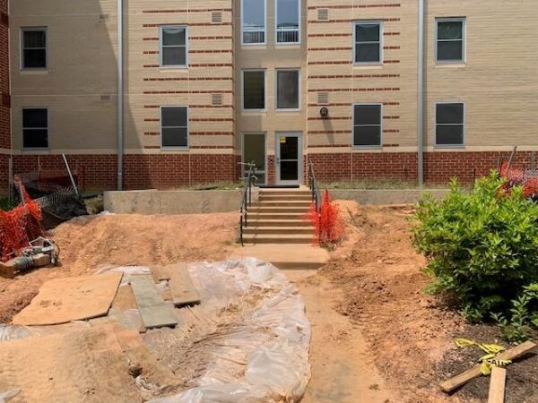 sandbridge-landscape-progress-photo-6.11.25